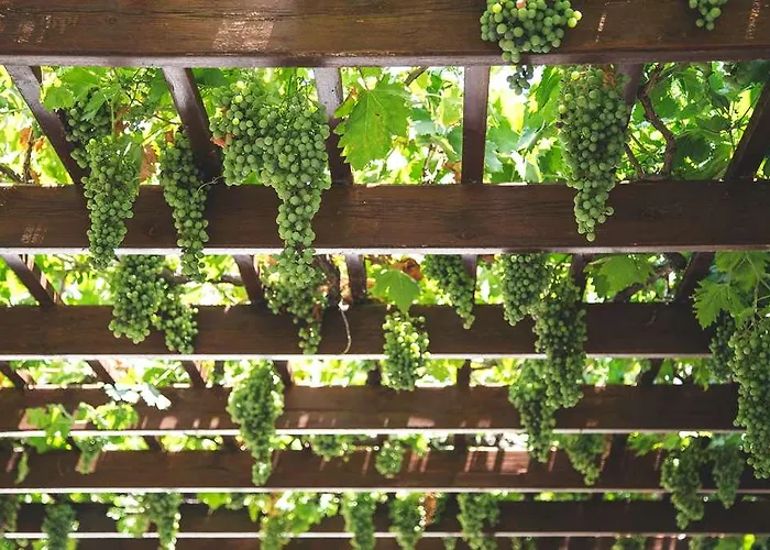 Hotel Og Du Phare Bordeaux